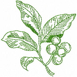 Fruits Embroidery Design 6 Fruits Embroidery Design 6